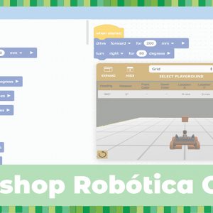Workshop: Robótica Online